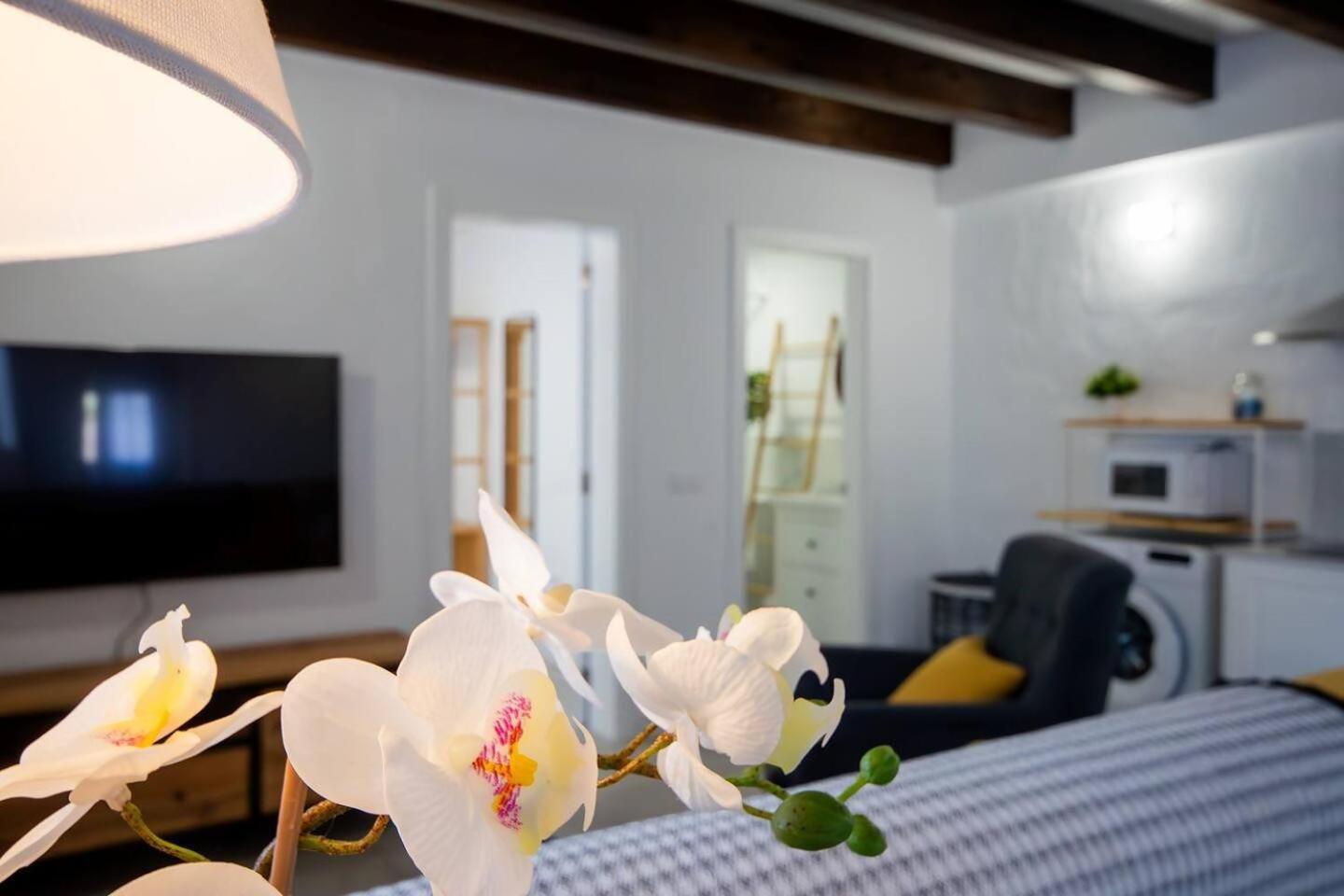 Apartamentos Marmolejos Gáldar Δωμάτιο φωτογραφία